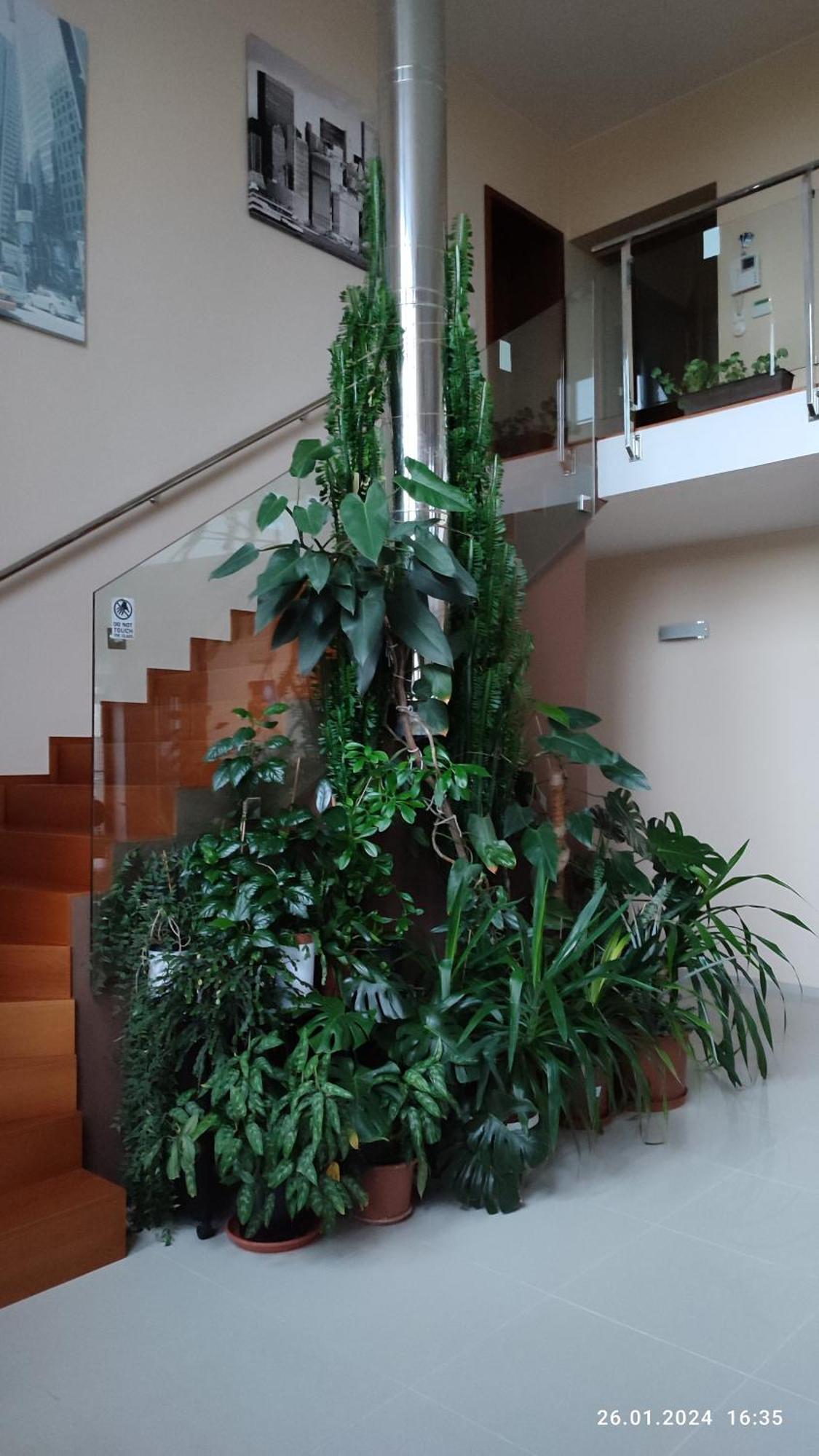Villa Homestay Nad Helmrovkou Prag Exterior foto